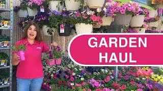 Pick the Perfect Petunias at the Garden Center