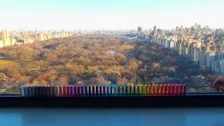 Miniclip - Domino at Dawn - NYC Central park