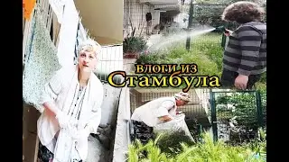 бахче кат ✅ tatyana obukhova / 