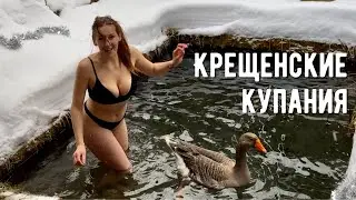 Купаюсь с гусем зимой в проруби