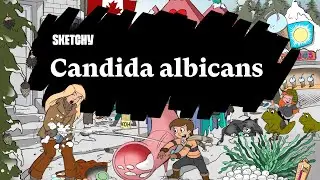 Candida albicans Causes and Treatments (Part 1) | Sketchy Medical | USMLE Step 1