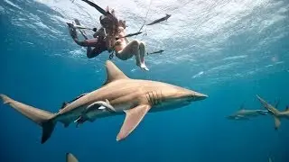 Behind the Scenes: Lesley Rochat goes naked with sharks to save them