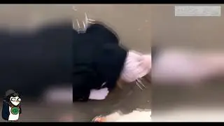 СЕКС НА КАМЕРУ 😂Extreme Idiots 😂 Funny Idiots
