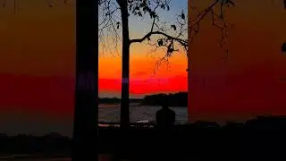 stereo love - Aesthetic lyrics full screen WhatsApp status| Stereo love edit | 