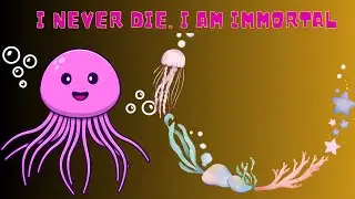 Death defying Jellyfish