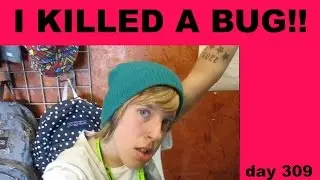 I KILLED A BUG! day 309 (9/11/2015)