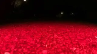 Night Phantom 2 Vision flight