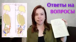 Здоровая спина. Ровная осанка. Упражнения. Отвечаю на ваши вопросы по метасоматике 🙌