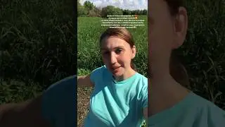 Доброе и бодрое утречко! 