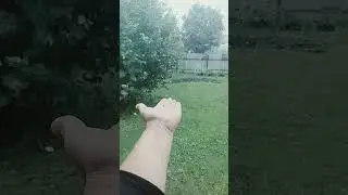 Дождь прошел, пока все хорошо. Вербилки 🤗