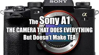Sony A1 it does everything but cant make the tea