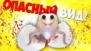 ГОМУНКУЛ   АГРЕССИВНЫЙ ВИД! БУДЬТЕ ОСТОРОЖНЫ! 18+ Опыт реально получился