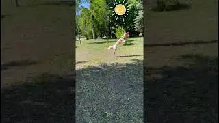 Игра с фрисби.Лето.