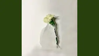 Любимая моя Же
