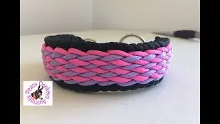 Wavy falls paracord dog collar instructions