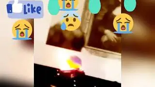 .R.I.P. MONALISA 1487 i think to 2018 1487-2019
