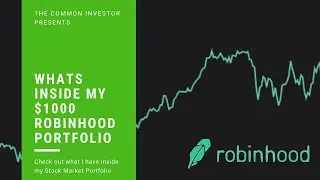 Whats Inside my $1000 Robinhood Portfolio - 2019