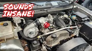 Typhony! The Turbo Trailblazer 4200 Inline 6 Roars to Life! Sounds INSANE!