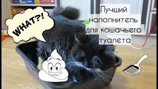 Лучший кошачий наполнитель для лотка! 50кг за 24$ - Как выбрать? Полезный совет! / Cat's litter box!
