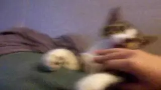 Say Hi mumble!!!