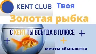 #КентКлуб - Внятная презентация. Кент твоя Золотая рыбка!