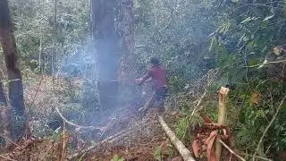 PENUH PERHITUNGAN TUMBANG _KAYU DI TEPI JURANG