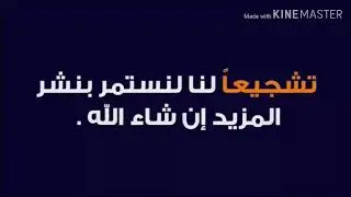 تقرير رائع من BeinSport : الجزائري رامي بن سبعيني يقود فريقه للفوز بعد عودة الدوري