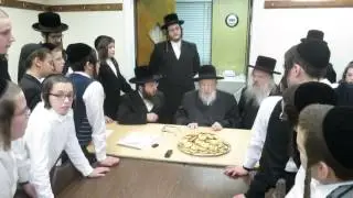 Bluzhov Rebbe ZT