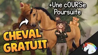 THE PERFECT GIFT 🎁 | Star Stable Online