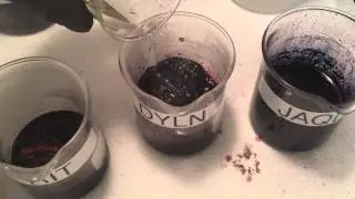 Pouring 98% sulfuric acid into 32% hydrochloric acid + dye mix