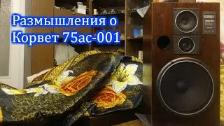 Размышления о Корвет 75ас-001