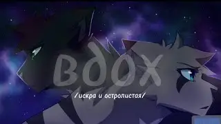 коты воители//искра и остролистая//вдох))) warriors cats ivypool and hollyleaf#котывоители #warriors
