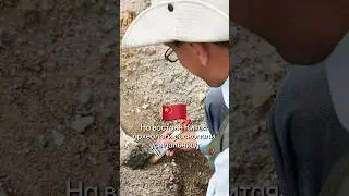Находки китайских археологов🇨🇳 #клад #археология #история