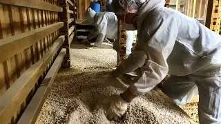 The only traditional soy sauce production in Japan, passed down for over 200 years