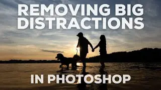 Removing Major Distractions Using Photoshop / Dog Photography Editing
