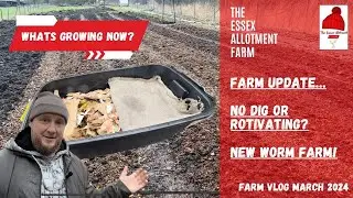 FARM UPDATE - DIG OR NO DIG? - New worm bin