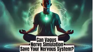 Biohack Your Nervous System with Pulsetto