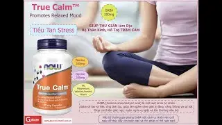 True Calm | Nghỉ Dưỡng Tâm Trí