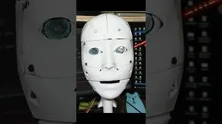 Voice control robot