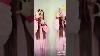 Два плизнеца