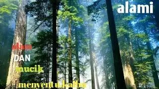 mucik terapi alam