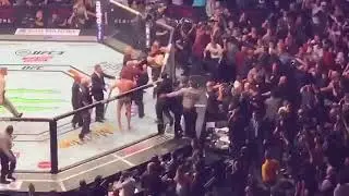 Замес на UFC 229 Conor MacGregor vs Habib Nurmagomedov