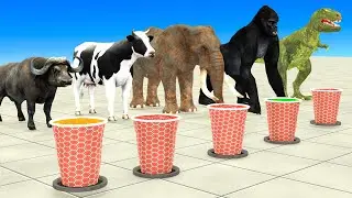 Choose the Right Cup Challenge with Wild Animals Max Level Squeeze Run Game