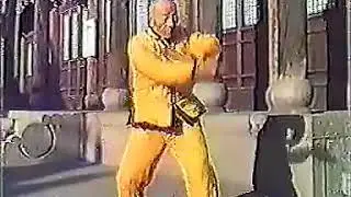 形意拳视频之赵永昌练拳 中国形意拳联盟