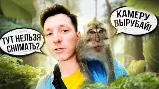 Где искать Жилье на Бали? | Разочаровались в IKEA | Душевные ребята и душный Антон🥸