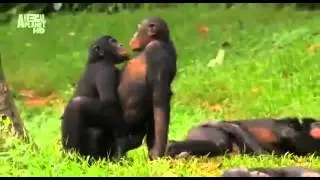 Вся суть женской логики за 30 секунд
