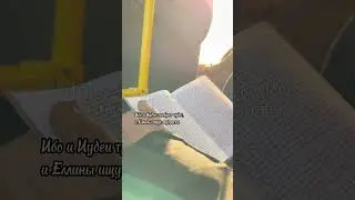 Послания Апостола Павла. Христос распятый — сила Божия и премудрость Божия