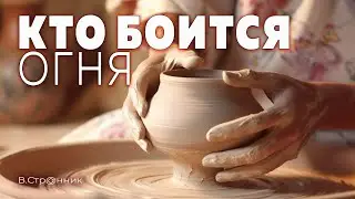 Кто боится огня - Вадим Странник