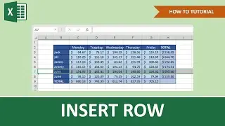 How To Insert Row In Excel | Beginner Tutorial