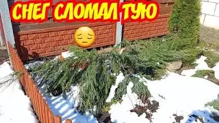 06.04.2023 года ВЕЧЕРНЯЯ ЗАРЯДКА В ДЕРЕВНЕ:НОШУ ДРОВА🏋